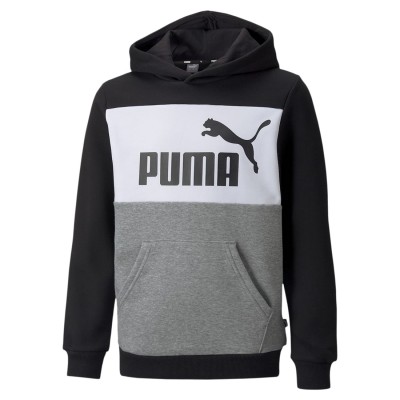 Puma, Essentials+ Colorblock Hoodie Fleece, Sudadera, Capucha