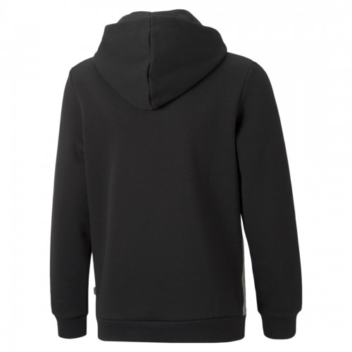 Puma, Essentials+ Colorblock Hoodie Fleece, Sudadera, Capucha