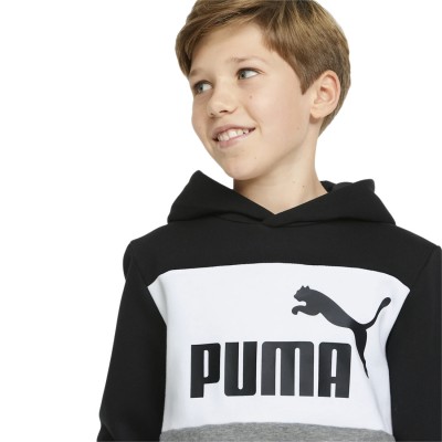 Puma, Essentials+ Colorblock Hoodie Fleece, Sudadera, Capucha