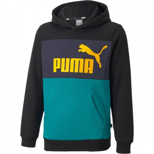 Puma, Essentials+ Colorblock Hoodie Fleece, Sudadera, Capucha