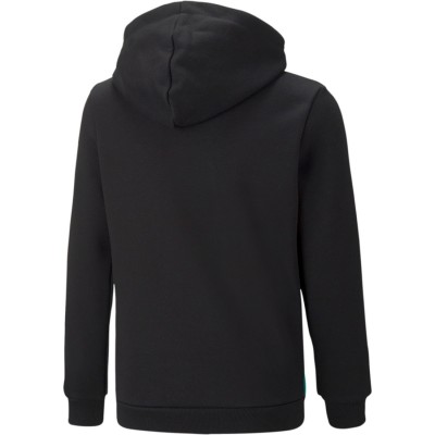 Puma, Essentials+ Colorblock Hoodie Fleece, Sudadera, Capucha