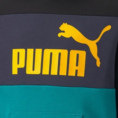 Puma, Essentials+ Colorblock Hoodie Fleece, Sudadera, Capucha