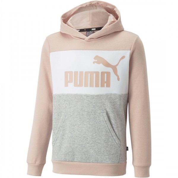 Puma, Essentials+ Colorblock Hoodie Fleece, Sudadera, Capucha