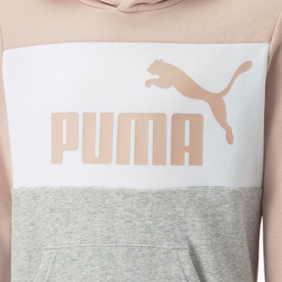 Puma, Essentials+ Colorblock Hoodie Fleece, Sudadera, Capucha