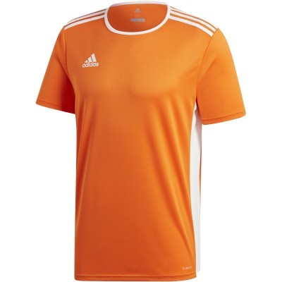 Adidas Cam M/c Entrada 18 Jsy Camiseta M/c Hombre ADCD8366_NARAN